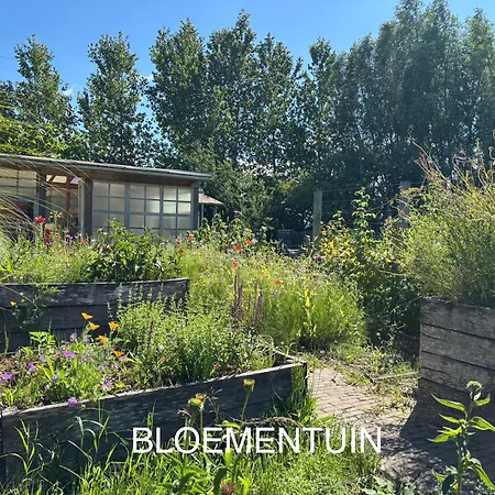 Kemp Tiny House At The Ecological Swimming Pool